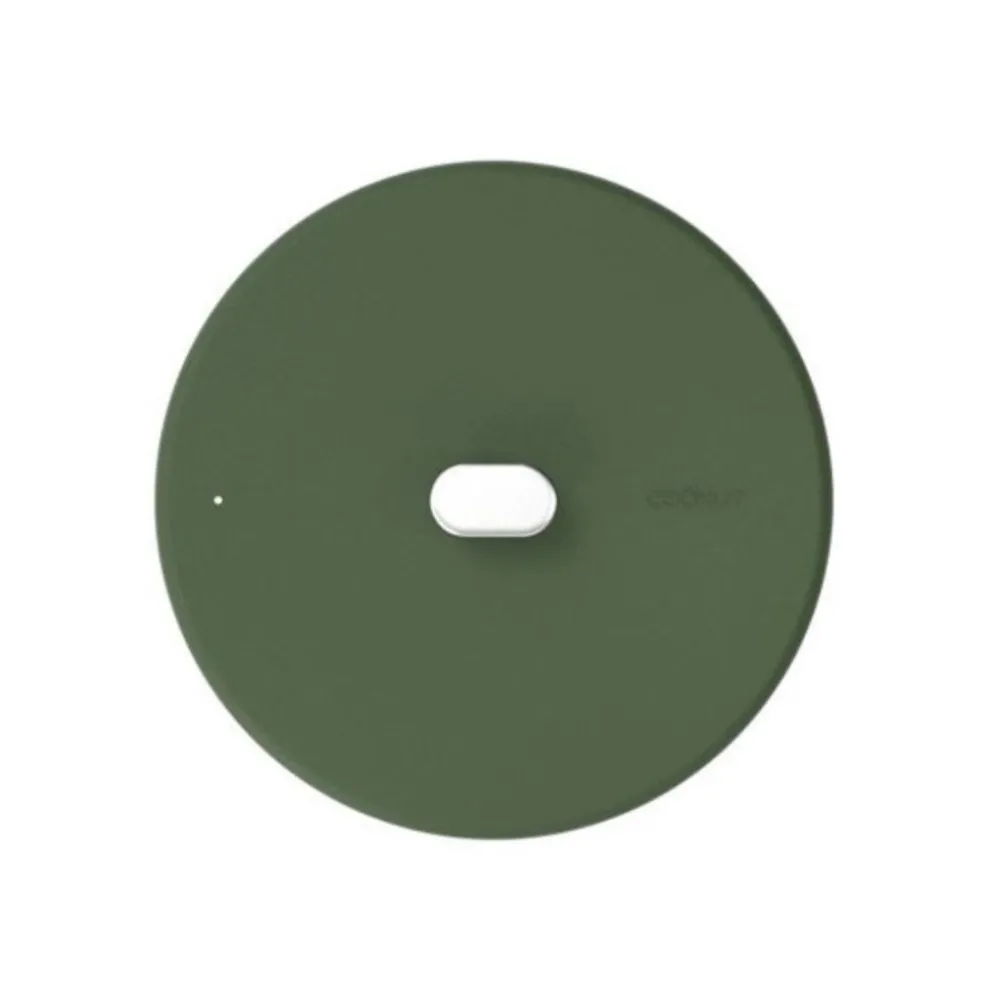 Couvercle en inox fougère d16cm - La Merveilleuse