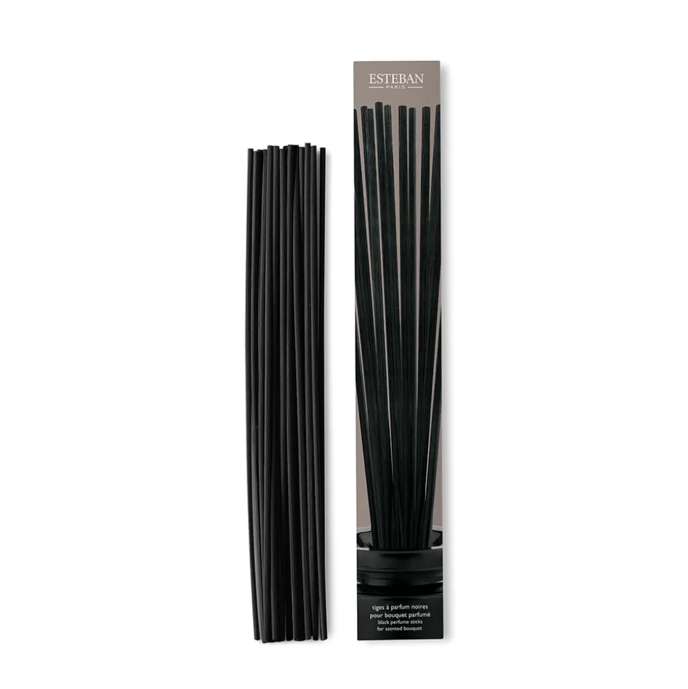 Tiges à parfum noires pour bouquet parfumé h25cm